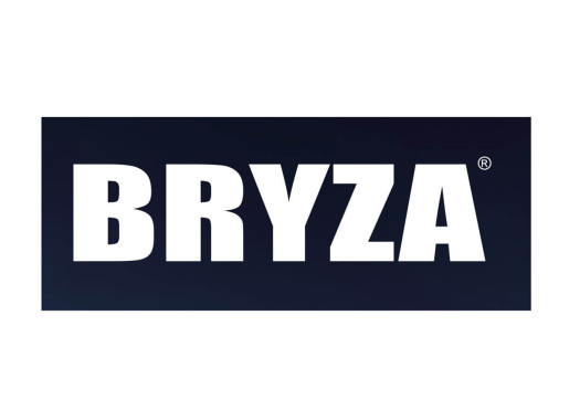 Bryza