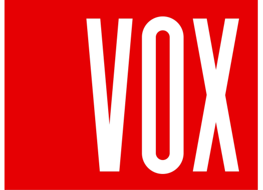 VOX  SYSTEM MAX-3 